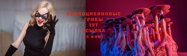 spice Волосово