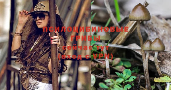 винт Володарск