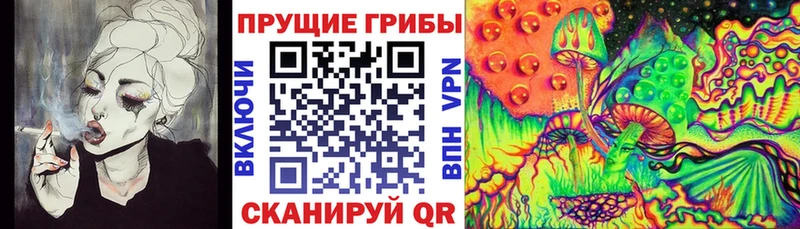 дарк нет телеграм  Серпухов  Псилоцибиновые грибы Psilocybe  цена наркотик 